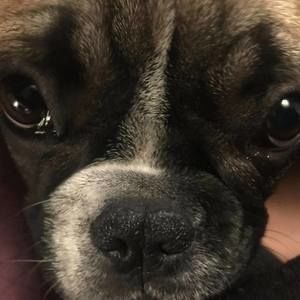 Meet your Posher, Candi